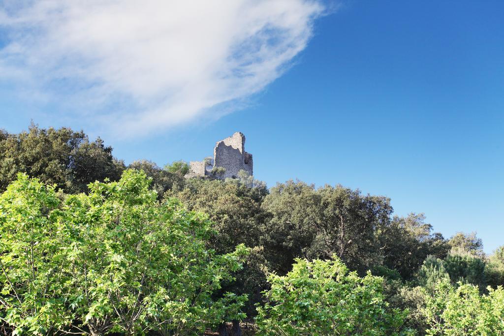 Résidence Prestige Odalys La Palmeraie Grimaud Esterno foto
